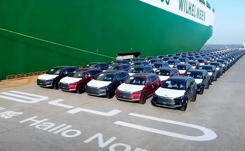 比亚迪吃瓜爆料视频最新