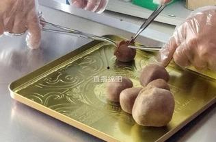 羊宝吃瓜爆料,娱乐圈幕后真相大揭秘