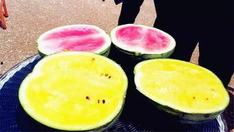 大良吃瓜爆料,揭秘娱乐圈幕后真相